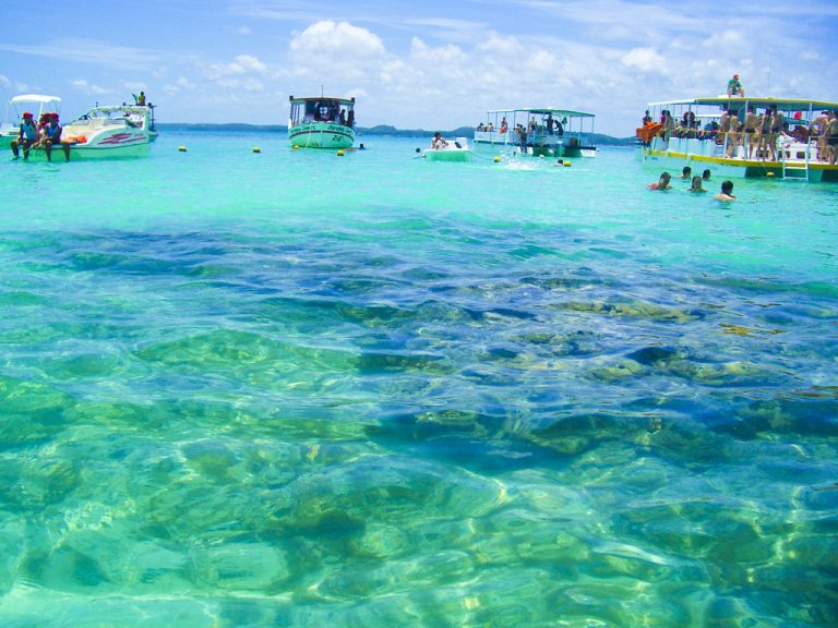 2072095535_a31c4cddae_b