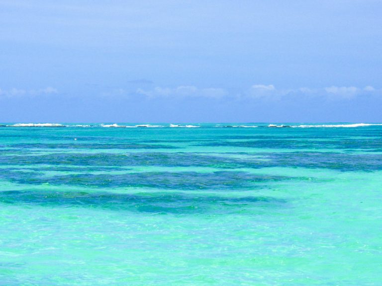 2072891514_2953f50c79_b