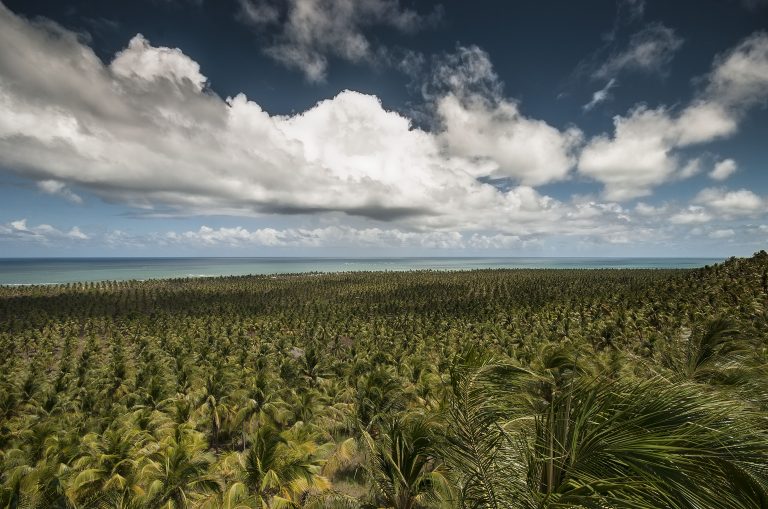 26881069185_966a923b21_o