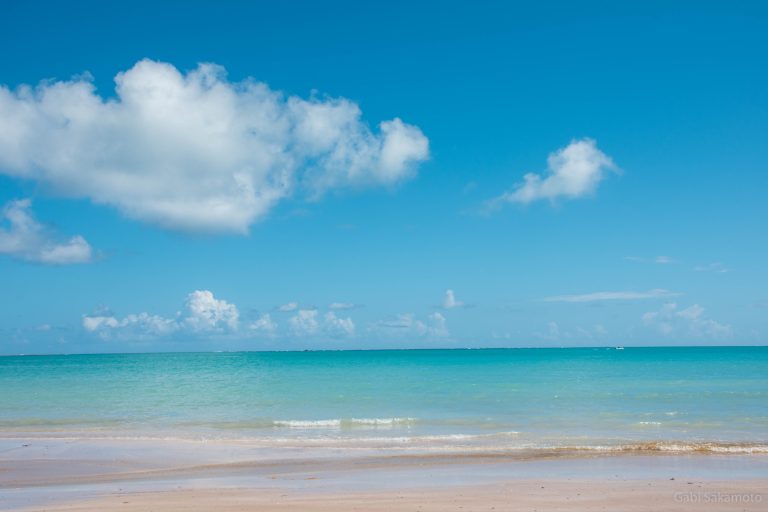 28185478159_3527a613ec_o