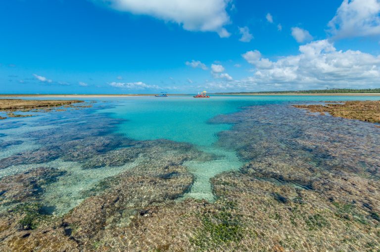 Pacotes de Viagens São Miguel dos Milagres (3)