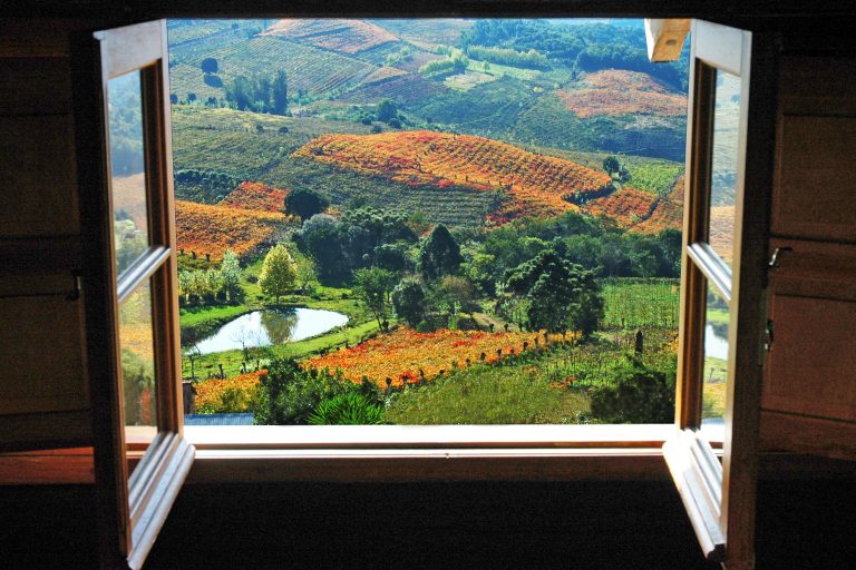 Vale dos Vinhedos Janela-Fabiano Mazzotti-prefeitura municipal