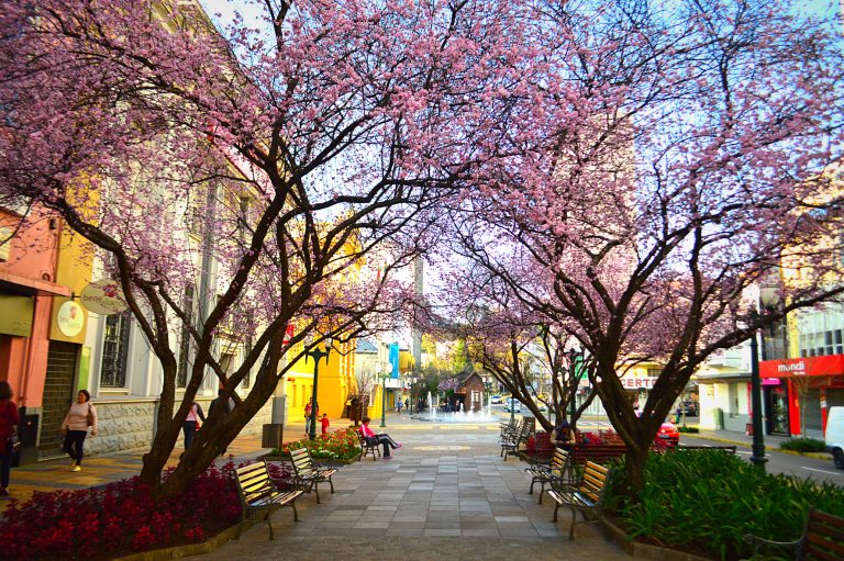 Via-del-vino-Fabiane-Capellaro-semtur