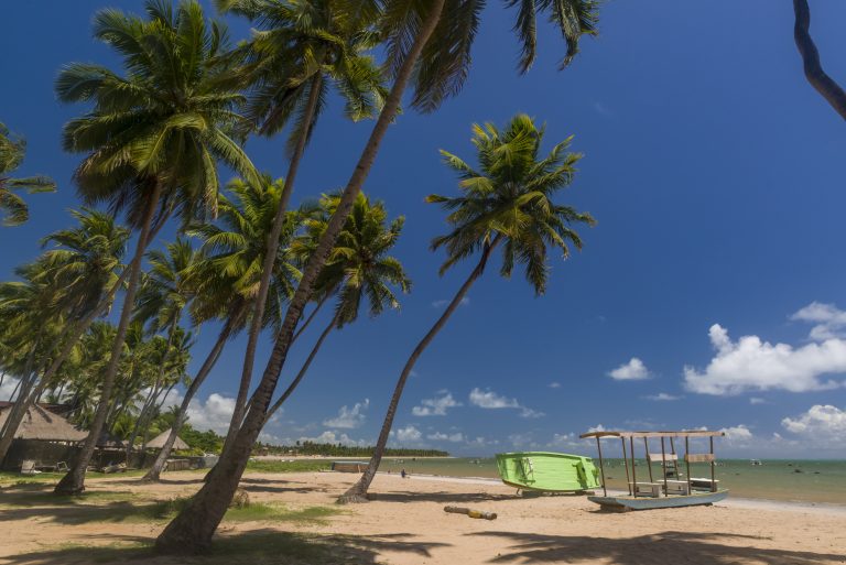 Beach. Japaratinga, Alagoas, Brazil on January 07, 2022. Coconut grove and boat on the beach