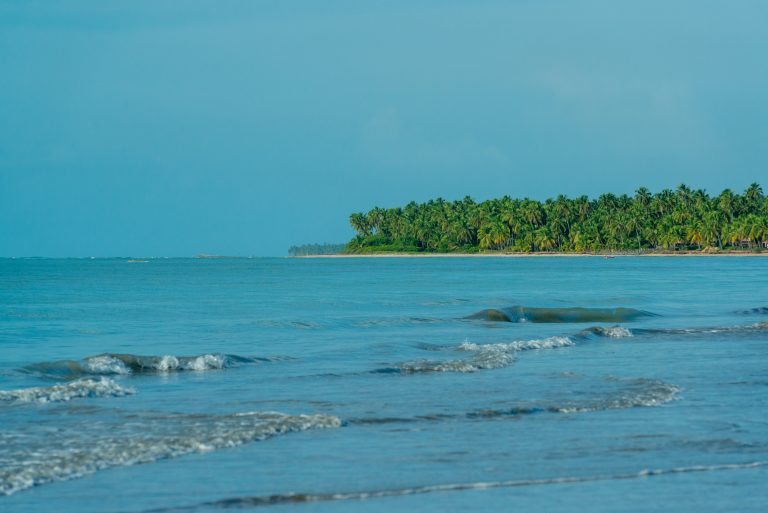 japaratinga-beach-maragogi-alagoas-brazil-coconut-trees-peaceful-beautiful-beach (1)
