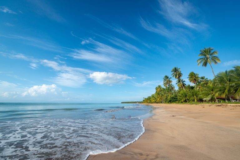 japaratinga-beach-maragogi-alagoas-brazil-coconut-trees-peaceful-beautiful-beach